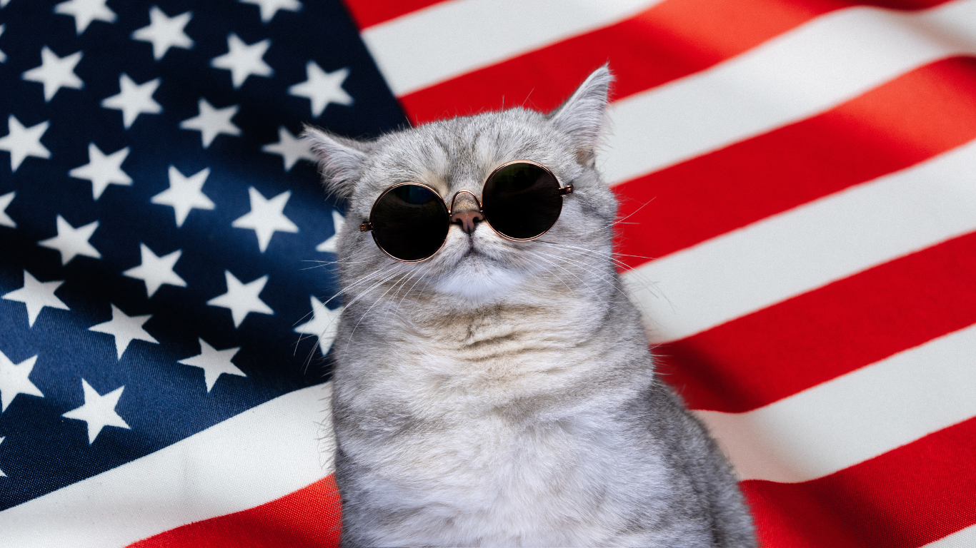 Try Delaware lesson for free