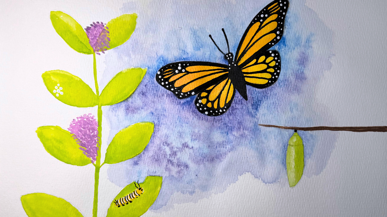 Butterfly life cycle art lesson for kids combining science and creativity through drawing and visual storytelling